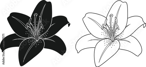 Black and white outline and silhouette vector graphics display two distinct lily flower illustrations suitable for design projects.