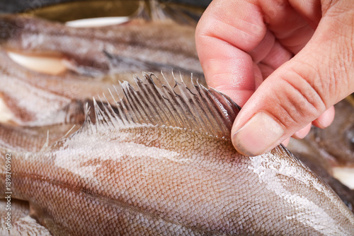 Foto Fresh Caught Flounder Fish Preparation - Scaling Raw Seafood in Kitchen