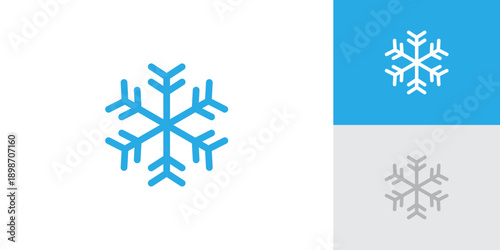 Snowflake Logo with Creative Concept Idea Vector Design