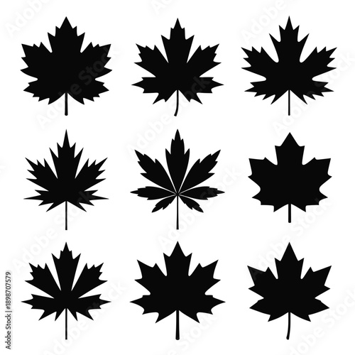 Wallpaper Mural Nine stylized black maple leaves arranged in a grid pattern on a white background isolated on white background, Vector, illustration Torontodigital.ca