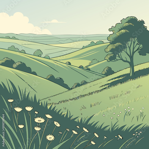 Rolling Green Hills - Summer Landscape Wide View