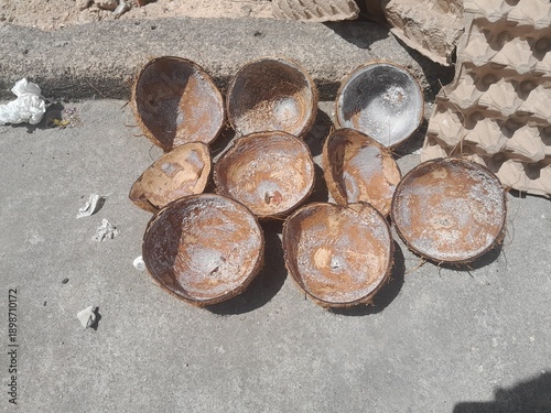 Coconut shells are dried under the hot sun during the day