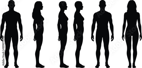 Human body silhouette set, showing male and female figures, front side views, anatomy reference, flat black vector, isolated white background, design illustration medical stock