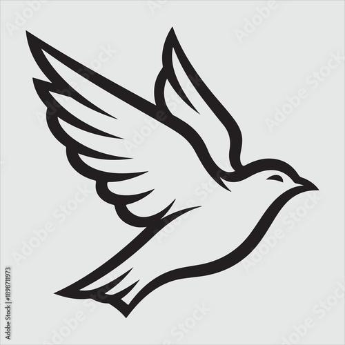 Beautiful bird vector design