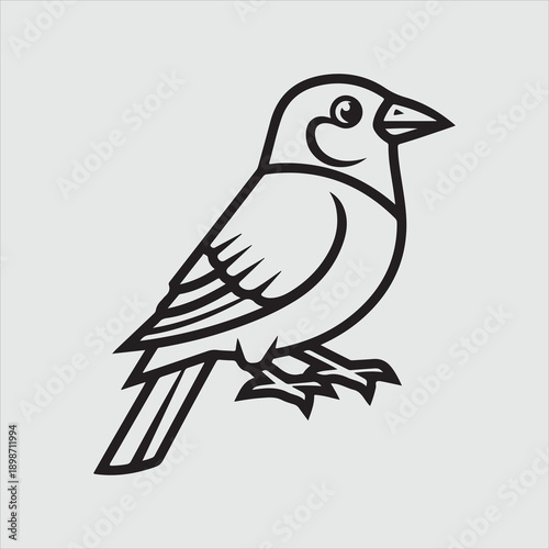 Beautiful bird vector design