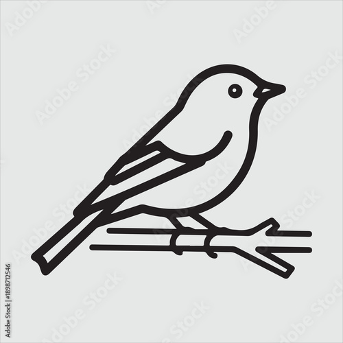 Beautiful bird vector design