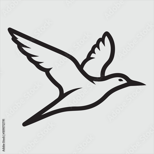 Beautiful bird vector design