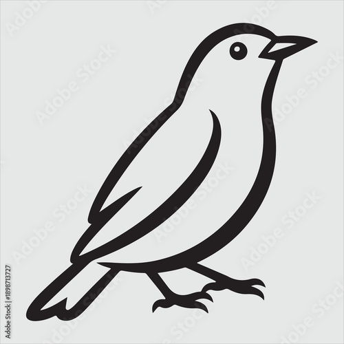 Beautiful bird vector design