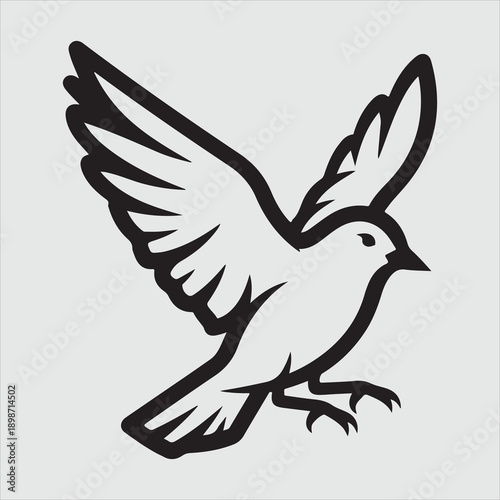 Beautiful bird vector design