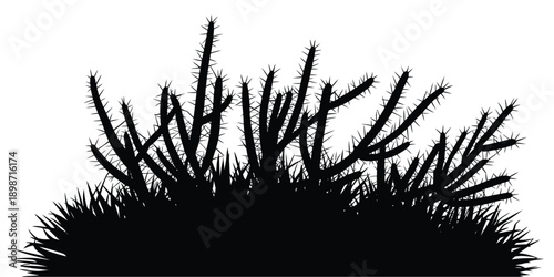 A stark silhouette of a desert cactus and surrounding desert vegetation