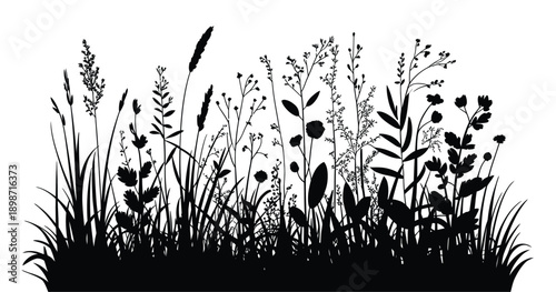 A black and white silhouette of various wildflowers and grasses growing together