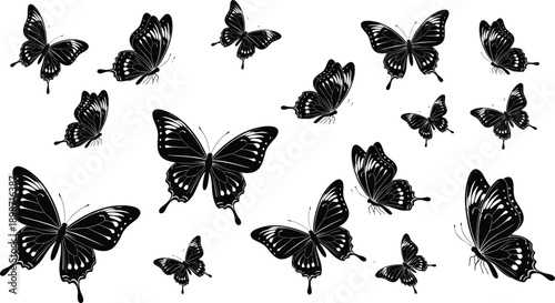 Collection of vector butterfly silhouettes featuring monarch and swallowtail species, black insect illustrations isolated on white background for nature design projects