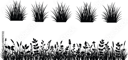 Collection of vector grass tufts and meadow border with wild flowers, black nature silhouettes isolated on white background for landscape design