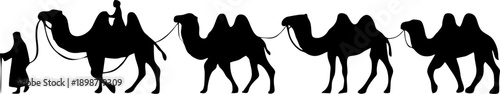 Bedouin Camel Caravan Desert Silhouette
