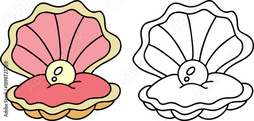 Open Oyster Shell Pearl Illustration