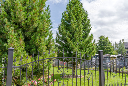 Lush Green Garden with Pine Trees and Ornate Fence
