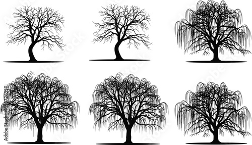 Stylized seasonal tree illustration set, bare branches to lush foliage, artistic botanical growth stages, nature design concept, vector art