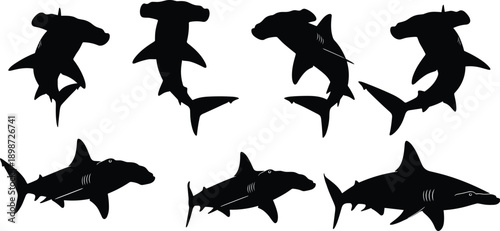 Black silhouettes of hammerhead and other sharks swimming hammerhead shark white background