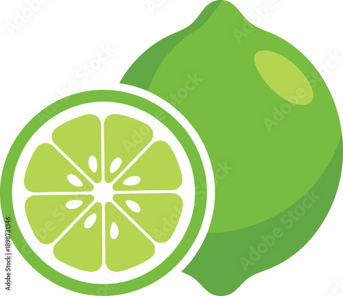 Fresh Lime Fruit Illustration Showing Whole Green Lime and Sliced Citrus Cross Section for Healthy Nutrition Organic Food and Summer Design Concepts