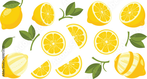 Fresh Lemon Fruit Illustration Set Showing Whole Halved and Sliced Lemons with Green Leaves for Healthy Nutrition Organic Food and Summer Design Concepts