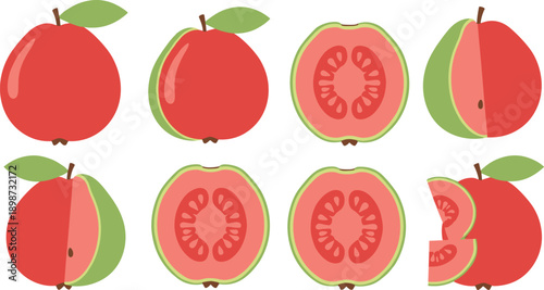 Guava Fruit Illustration Set Featuring Whole Halved and Sliced Guava with Seeds and Leaves for Tropical Fresh Nutrition and Organic Food Design Concepts