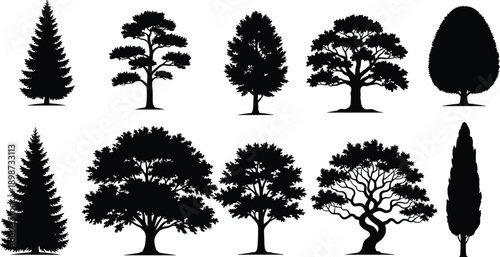 Black silhouettes of deciduous and coniferous trees vector set, oak pine spruce and cypress nature elements, forest collection isolated on white background