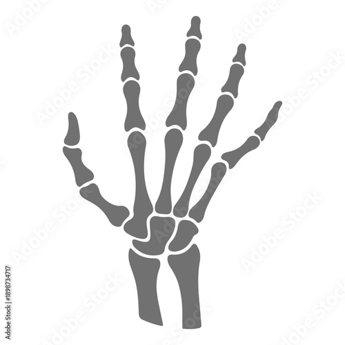 Human Skeleton Hand Vector Illustration - Spooky Halloween Bone Gesture for Rock Music, Anatomy, and Horror Design.