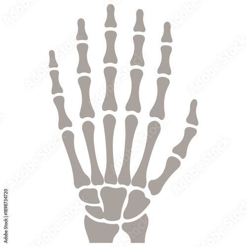 Human Skeleton Hand Vector Illustration - Spooky Halloween Bone Gesture for Rock Music, Anatomy, and Horror Design.