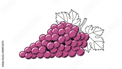 Large cluster of ripe purple grapes with detailed green leaves and delicate vines shown on a clean white background as a fresh fruit illustration.