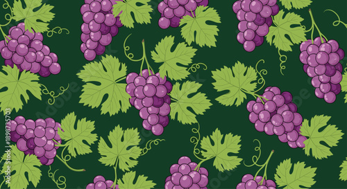 Seamless pattern featuring bunches of purple grapes with green leaves and vine tendrils over a dark green background.