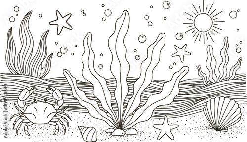 Underwater scene with seaweed crab starfish and sun