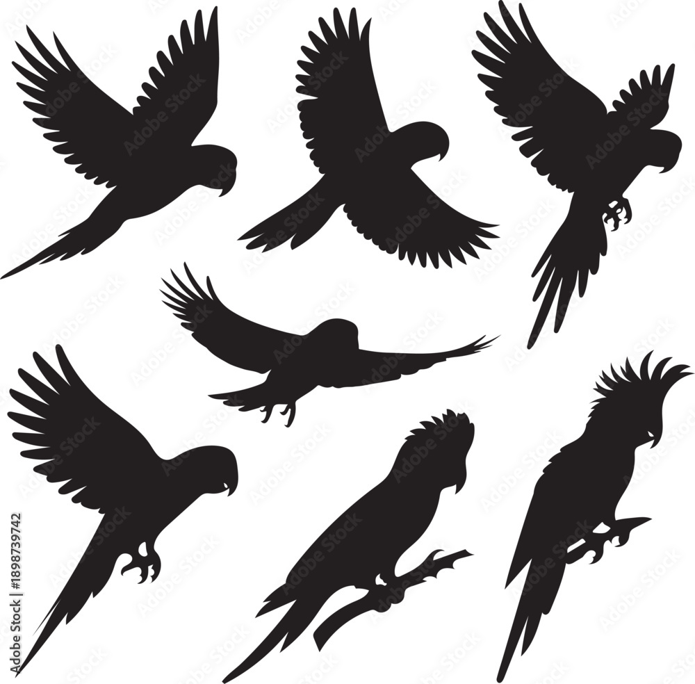Fototapeta premium Parrots silhouette vector set.
