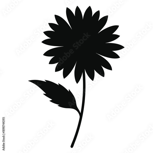 aster silhouette on white background