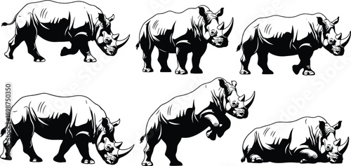 Six black and white rhinoceros in various poses animal wildlife mammal