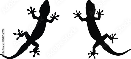 Two black silhouettes of geckos facing each other on a white background