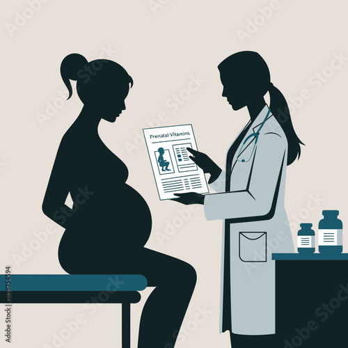 Pregnant woman consulting with a healthcare professional about prenatal care isolated on white background, Vector, illustration