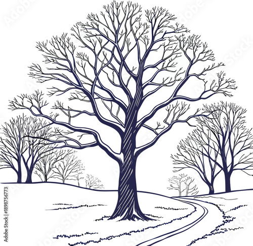 Winter Illustration of a large bare tree standing on a snowy hill with a winding path isolated on transparent background
