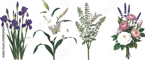 Beautiful, floral, bouquet, set, including, irises, lilies, roses, lavender, hand, drawn, flower, illustration, collection, isolated, on, white, background, garden, botanical.