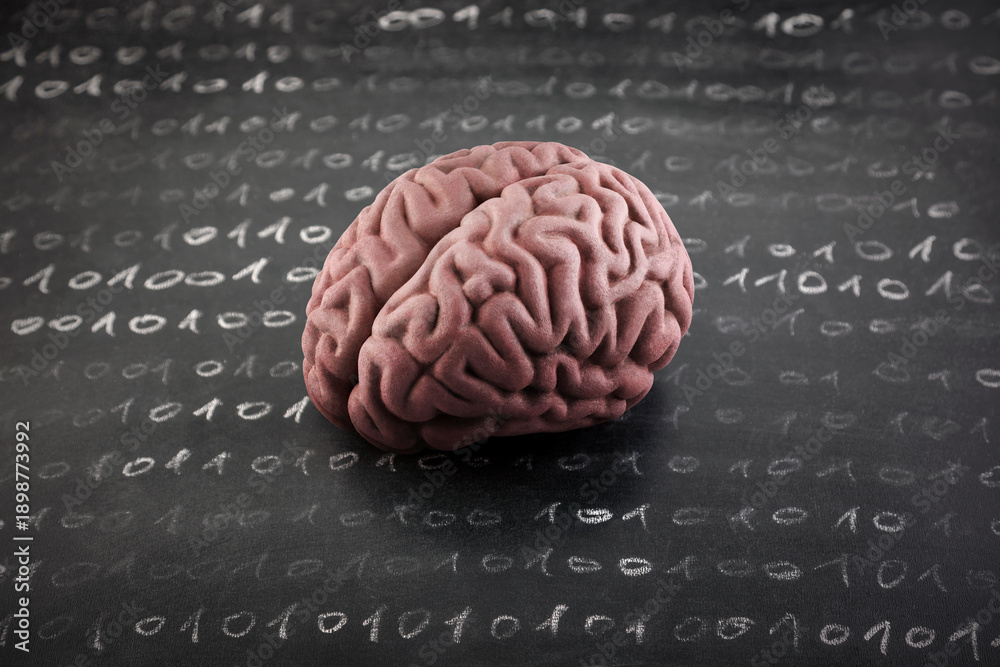 Fototapeta premium Human brain model and binary code drawn with chalk on worn scholl blackboard. Science, learning or data loss concept. 
