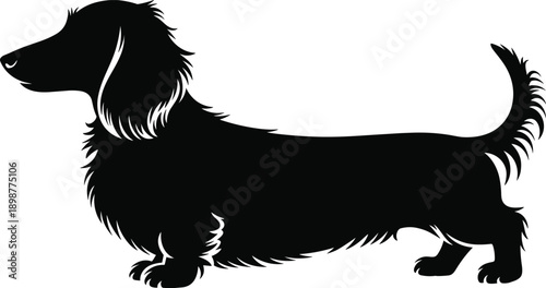 Black silhouette of a long haired dachshund dog 1