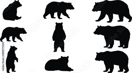 Bear, silhouette, animal, wildlife, nature, forest, mammal, posture, pose, sitting, standing, walking, lying, black, white, vector, illustration, isolated, motion, design