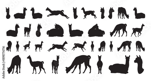 Simple alpaca symbols. Versatile minimalist logo representations. Elegant silhouetted alpacas for diverse branding needs. Clean black alpaca icons suitable for various visual identity applications