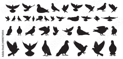 Dove silhouettes conveying peaceful symbol set, black icons on clean background with generous copy space, soft spacing evokes calm and wellness branding, suitable for logo, charity, and health