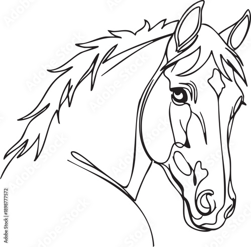 A black and white illustration of a horse's head and neck from a close-up front view
