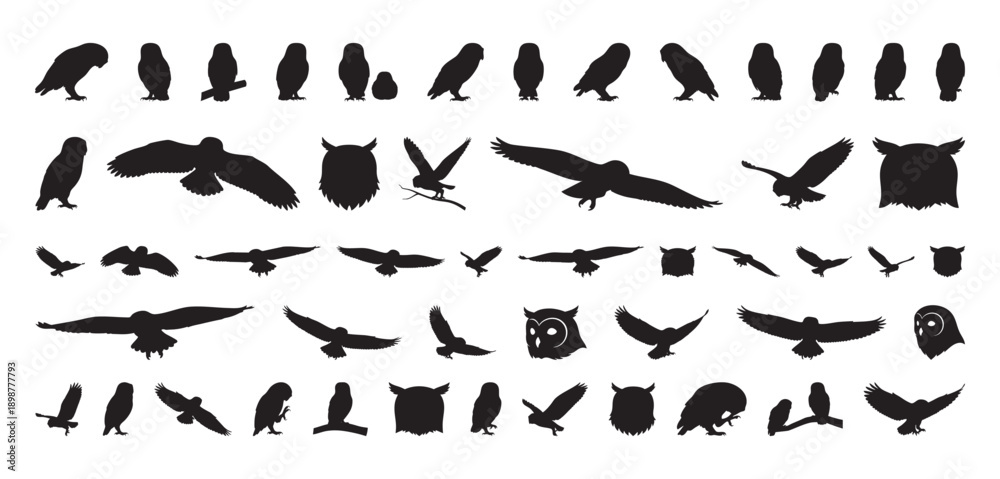 Εκτύπωση καμβά black owl silhouettes in hunting pose, lowprofile shapes showing talons and beak