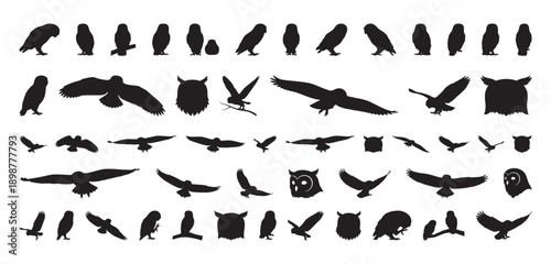 black owl silhouettes in hunting pose, lowprofile shapes showing talons and beak, poised for swoop, tense quiet atmosphere, strong contrast for dramatic editorial or wildlife projects