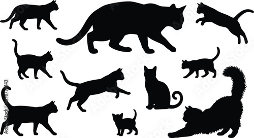 Cat silhouette, feline pose, black outline, sitting cat, walking kitten, jumping feline, stretching pet, animal shape, domestic cat, playful movement