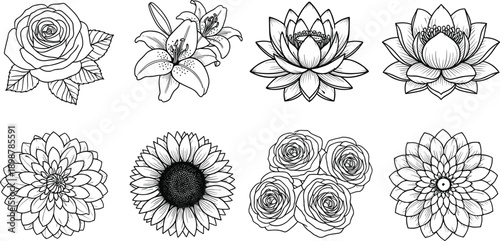 Hand drawn flower collection vector set, beautiful rose lily lotus sunflower and dahlia line art illustrations, floral botanical design elements for wedding decor