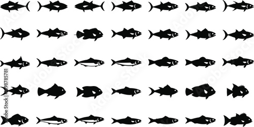 Black fish silhouettes in various swimming directions on white background