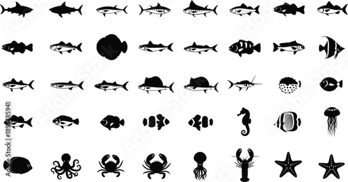 Collection of diverse marine life silhouettes